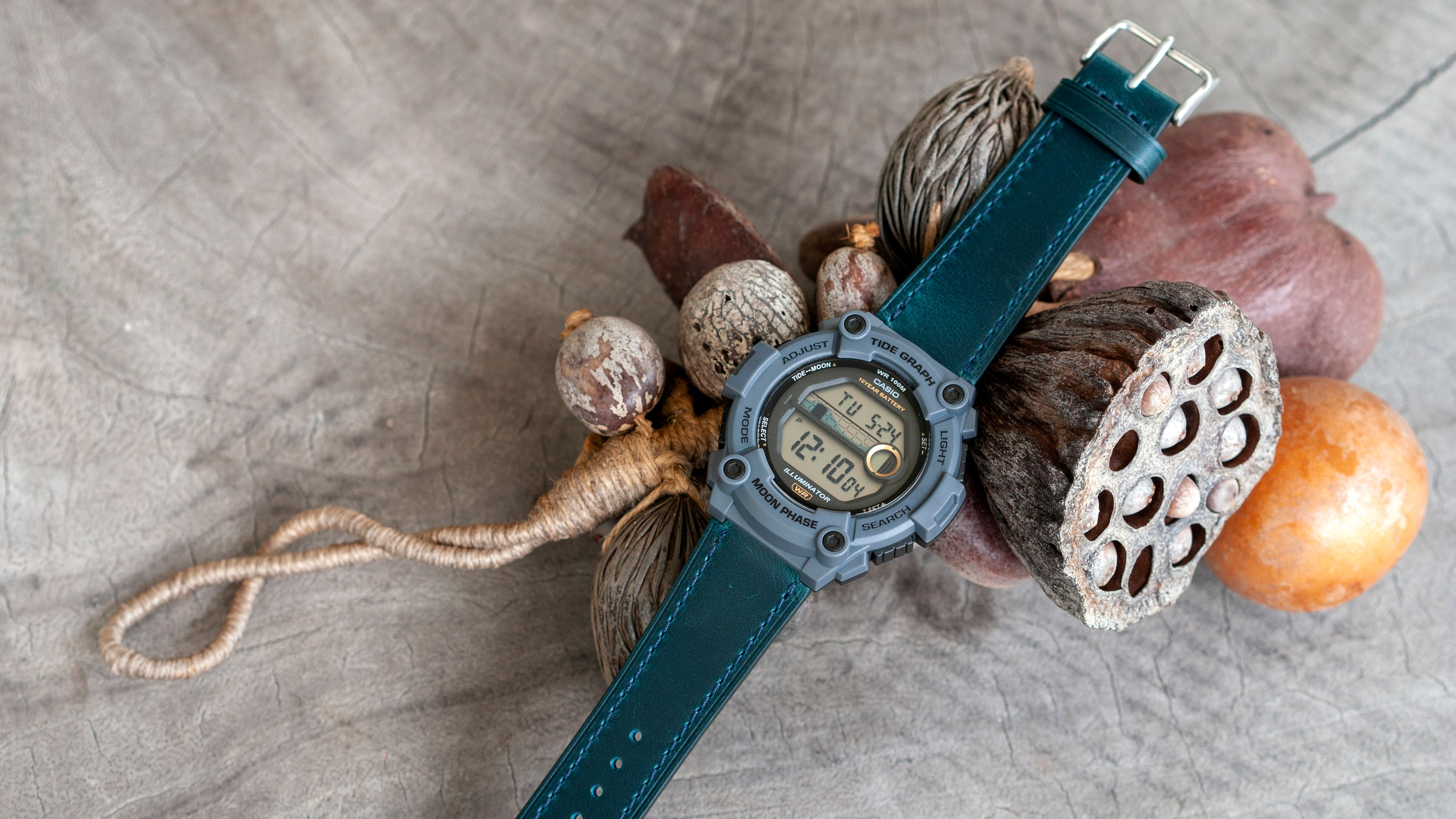 ws-1300h with vario strap