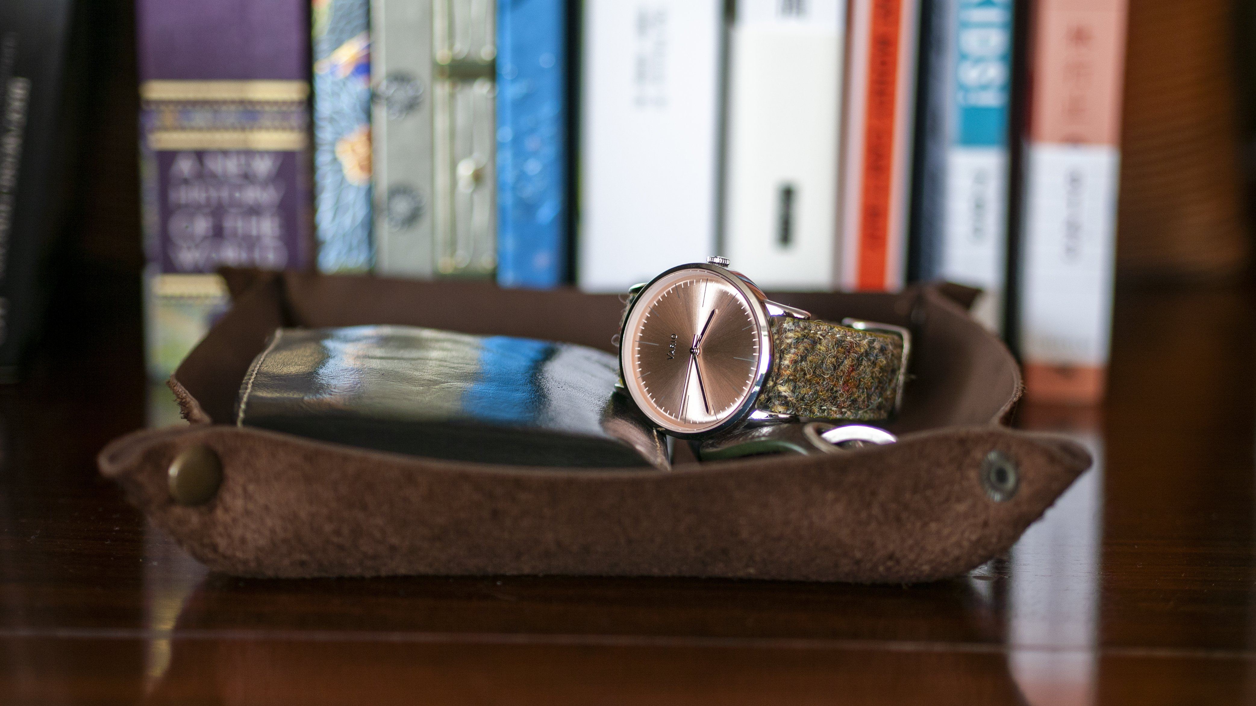 vario leather watch tray